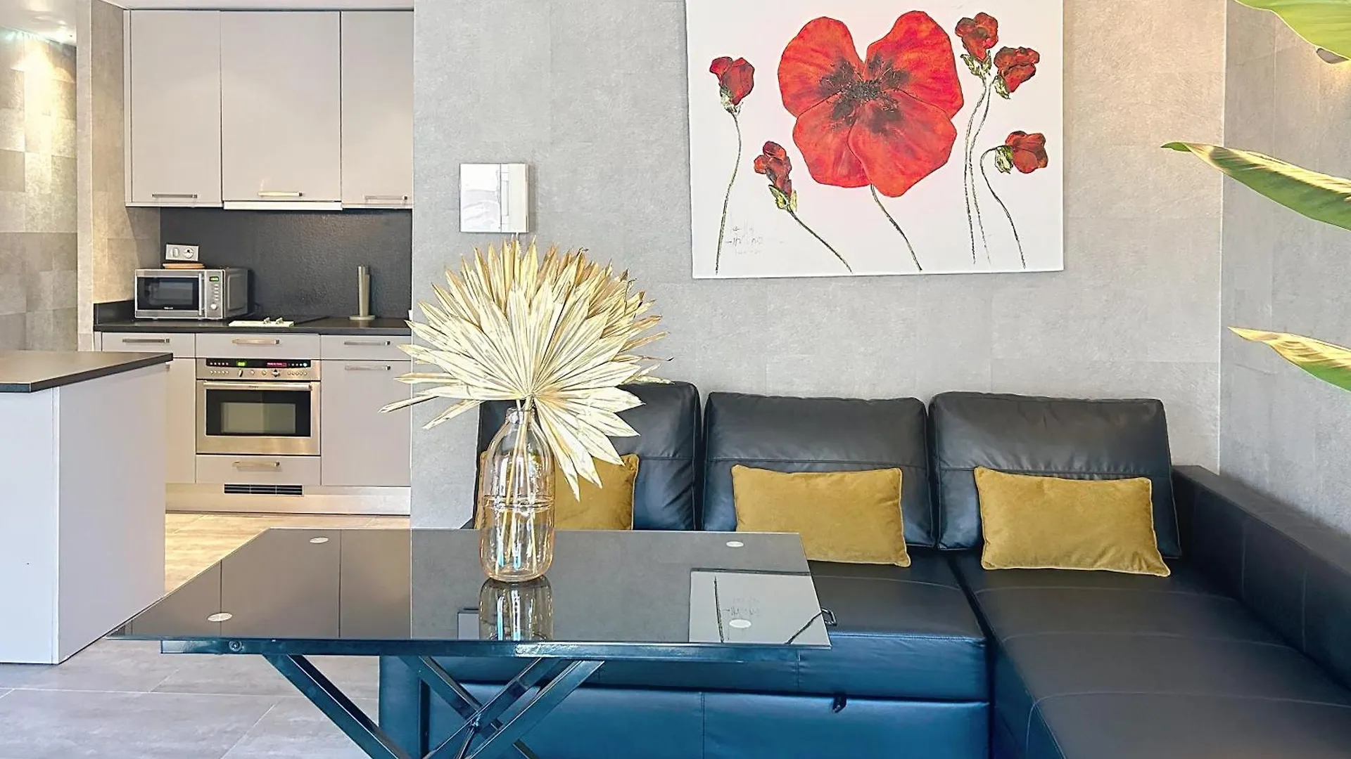 Apartmán Hoche Cannes 0*,